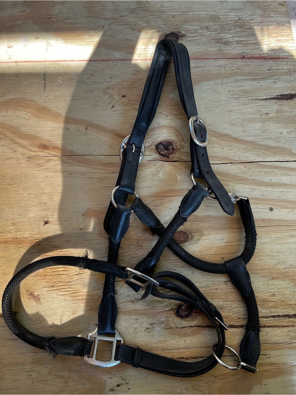 Padded Horse Halter